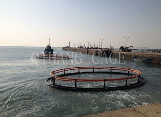 Qingdao4